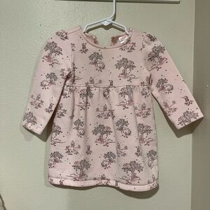 Gymboree Pink Long Sleeve Fleece Dress